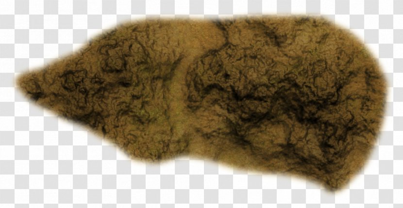 Fur - Rock Ground Transparent PNG