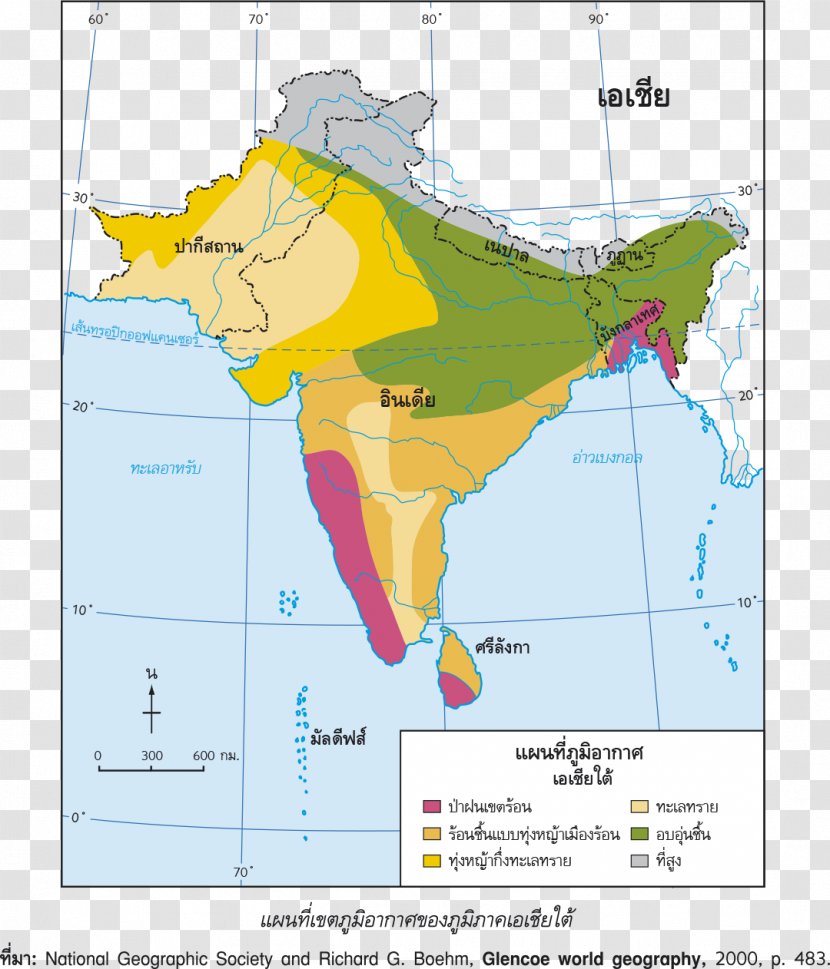 Line Ecoregion Angle Map Tuberculosis - ทุ่งนา Transparent PNG