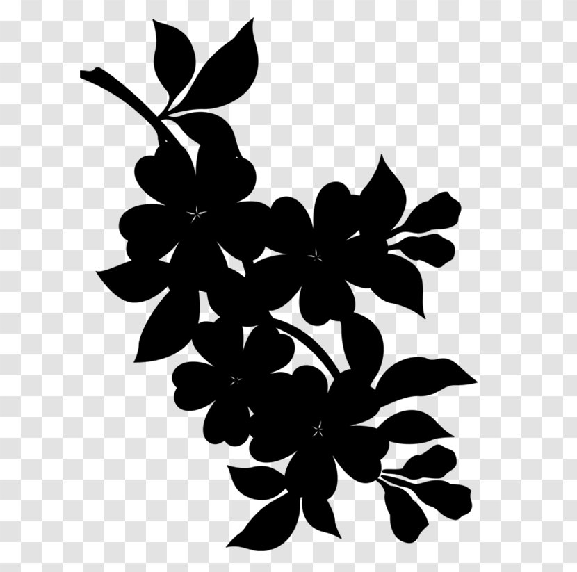 Twig Leaf Design Pattern Plant Stem - Photography - Branch Transparent PNG