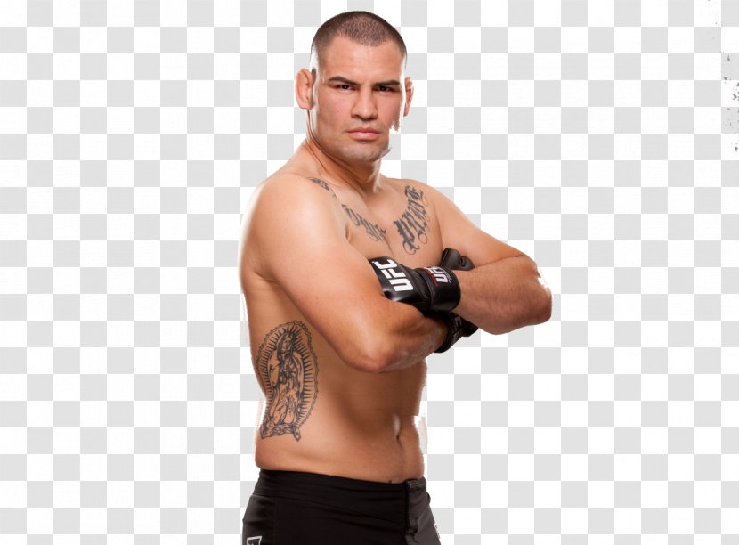 Cain Velasquez UFC 200: Tate Vs. Nunes 207: Rousey Arm Wrist - Flower - Frame Transparent PNG