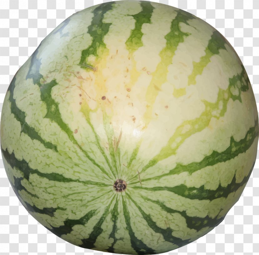 Watermelon Fruit Citrullus Lanatus Muskmelon Transparent PNG