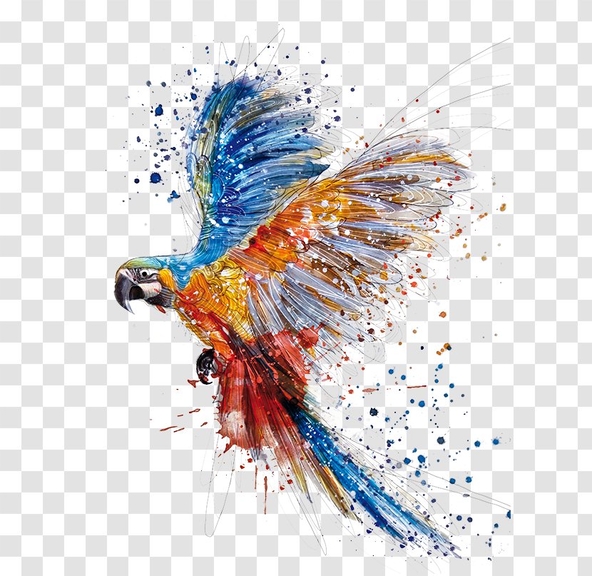 Parrot Watercolor Painting Bird Drawing - Pollinator Transparent PNG