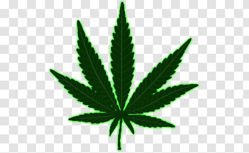 Medical Cannabis Marijuana Leaf Drug - Hemp Transparent PNG