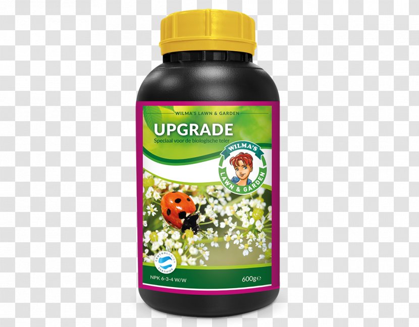 Garden Lawn Bayer Greenhouse - Superfood - 2018 Upgrade Transparent PNG