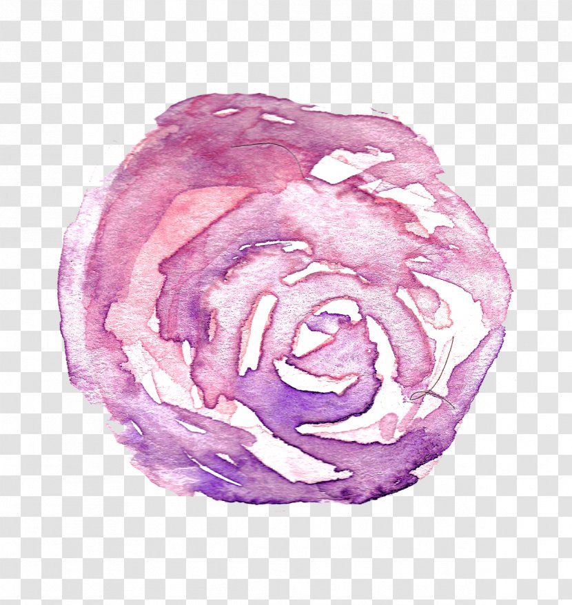 Drawing Painting Image Rose Photograph - Purple Transparent PNG