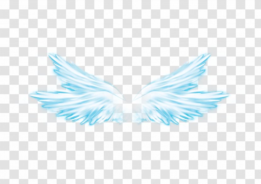 Wing Butterfly Overlay Feather - Photography - Wings Transparent PNG