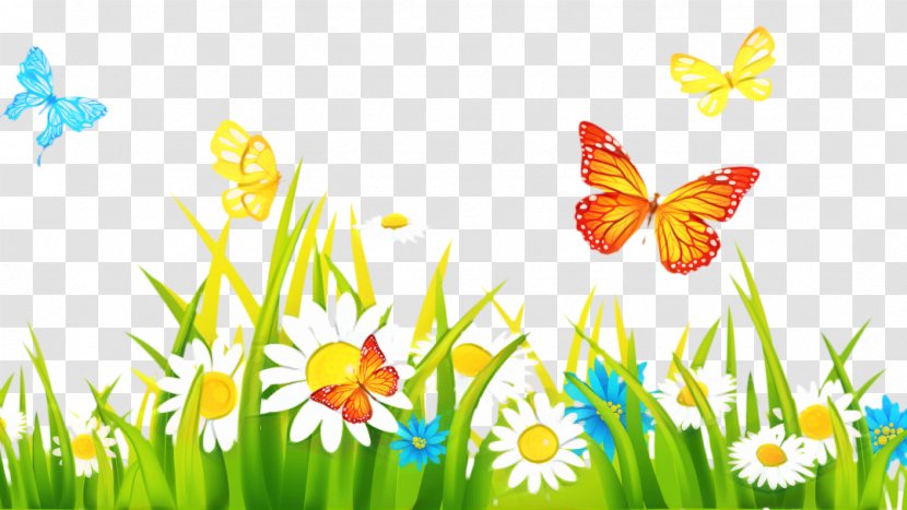 Summer Flower Background - Plant - Pollinator Insect Transparent PNG