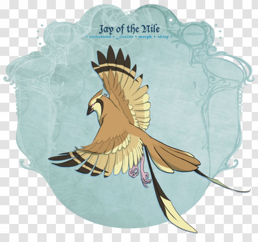 Bird Of Prey Beak Feather Wing - Frame - Jay Z Transparent PNG