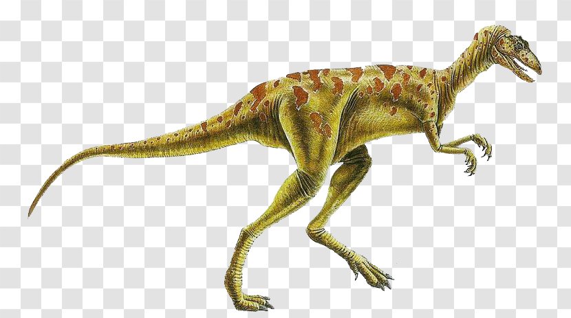 Herrerasaurus Staurikosaurus Eoraptor Lunensis Coelophysis Placerias - Dinosaur Transparent PNG