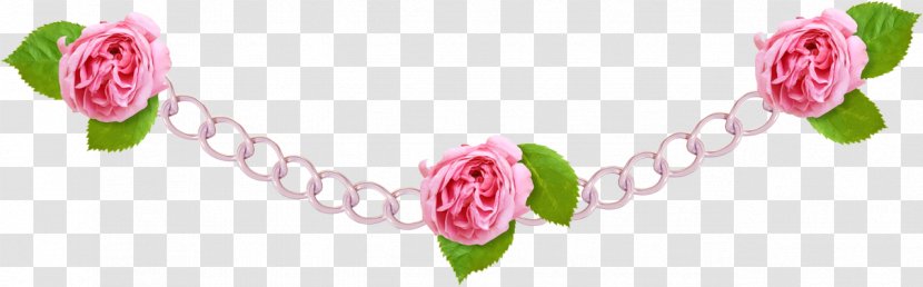 Garden Roses Picture Frames Ornament Photography - Heart - Pink Transparent PNG