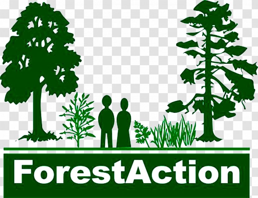 Forestry Organization Logo Sustainable Forest Management - Green Transparent PNG