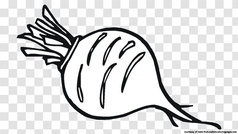Black And White Beetroot Vegetable Drawing Clip Art - Cartoon Transparent PNG