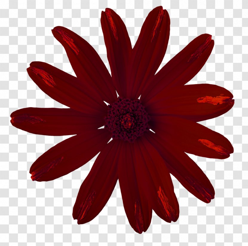 Stock Photography Shutterstock Royalty-free Stock.xchng - Massive Flowers Transparent PNG