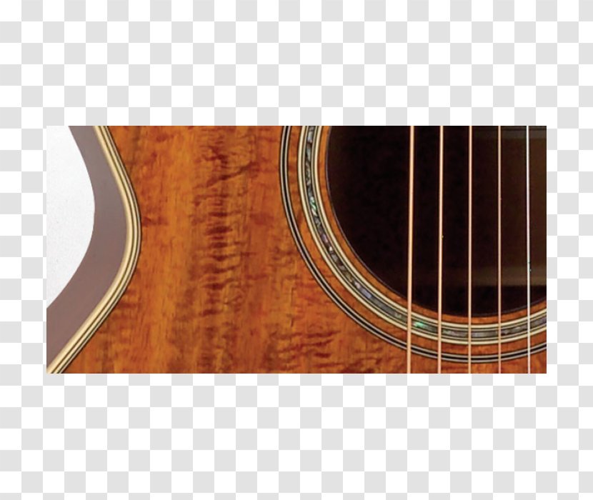 Acoustic Guitar Takamine Guitars Acoustic-electric Classical - Silhouette Transparent PNG