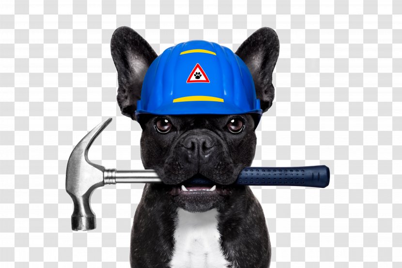 French Bulldog Dog Daze Industrial Plumbing Stock Photography - Pet - Creative Puppy Anthropomorphic Image Design Erector Transparent PNG