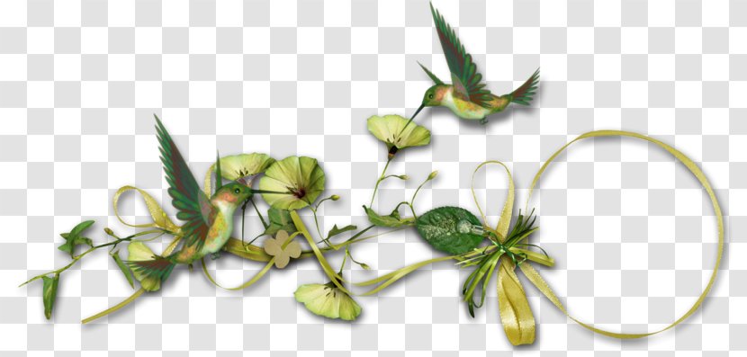 Clip Art Image Drawing Psd - Flower - Kolibri Frame Transparent PNG