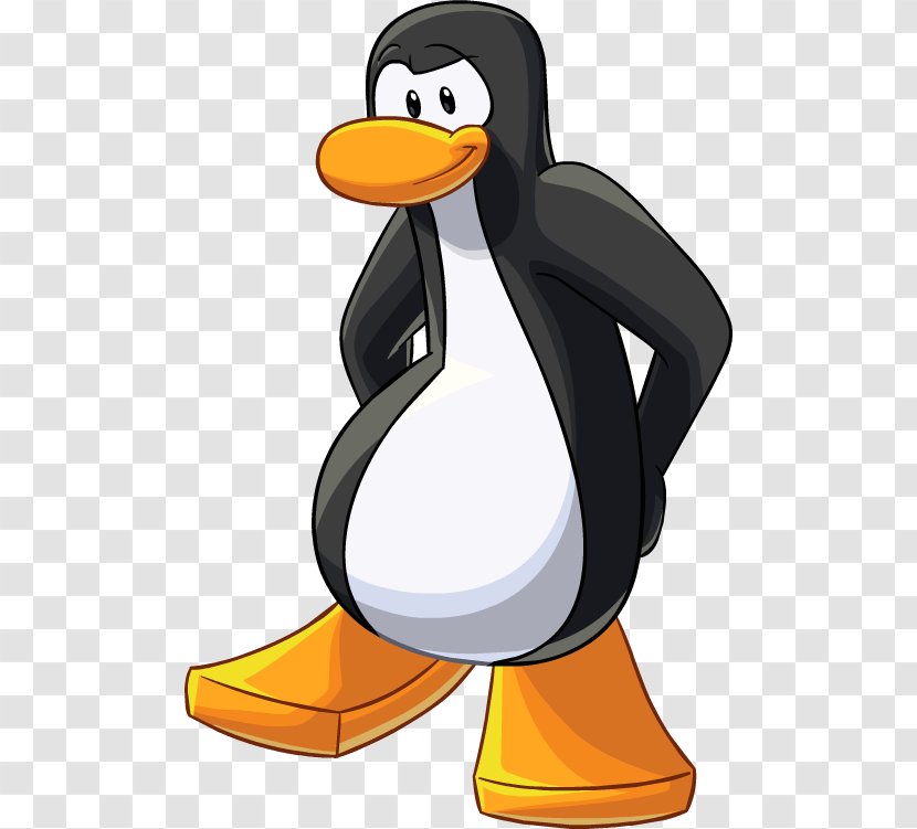 Club Penguin Island Bird King - Ducks Geese And Swans Transparent PNG