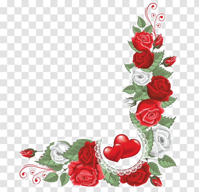 Garden Roses Cut Flowers Floral Design Beach Rose - Flower Transparent PNG