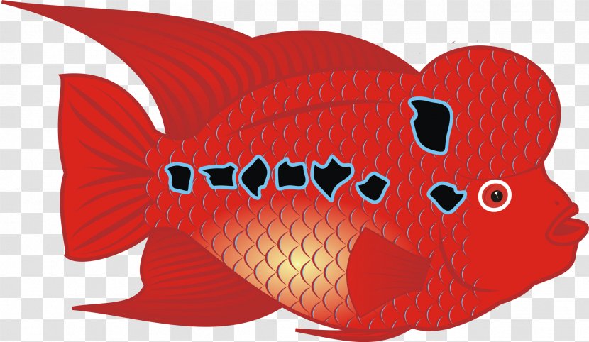 Flowerhorn Cichlid Fish Clip Art - Drawing Transparent PNG