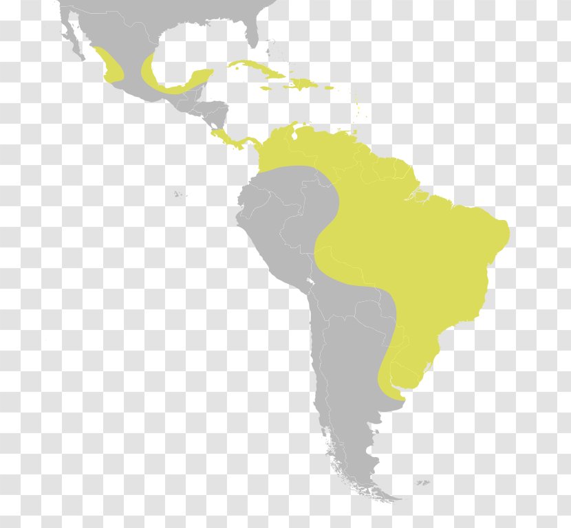 French Guiana Subregion United States Of America Caribbean - World - Redeye Distribution Transparent PNG
