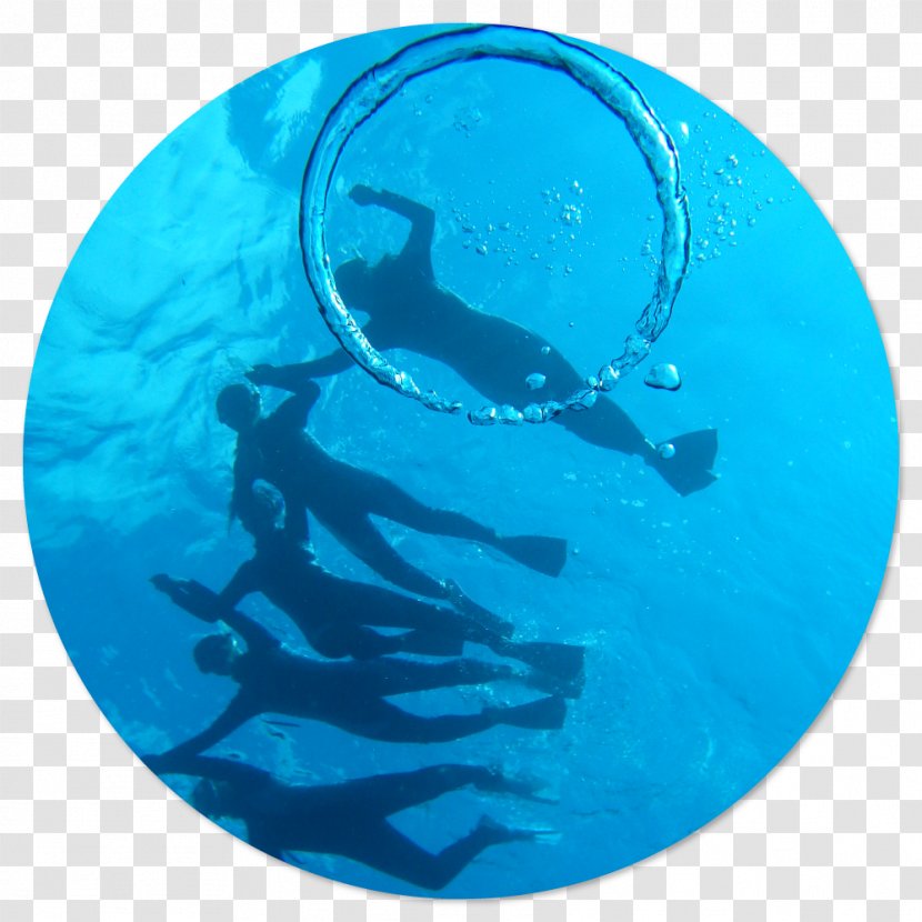 Arubaito 石垣島 シュノーケル・ツアー Recruitment Itoman Employment Agency - Turquoise - Snorkle Transparent PNG