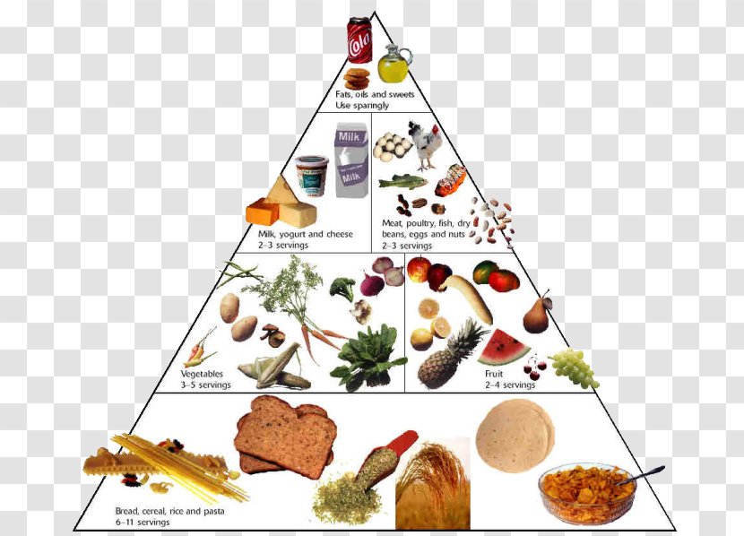 Nutrient Food Pyramid Healthy Eating Diet - Health Ingredients Transparent PNG