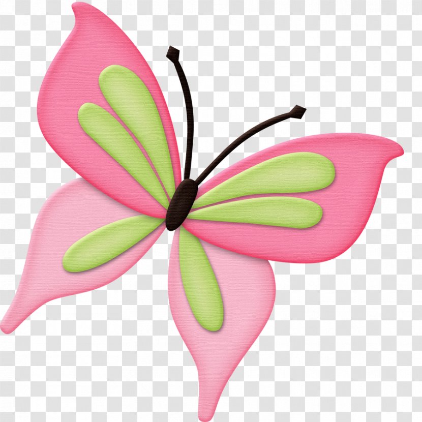 Clip Art Image Photograph Butterfly Free Content - Pink - Wood Transparent PNG