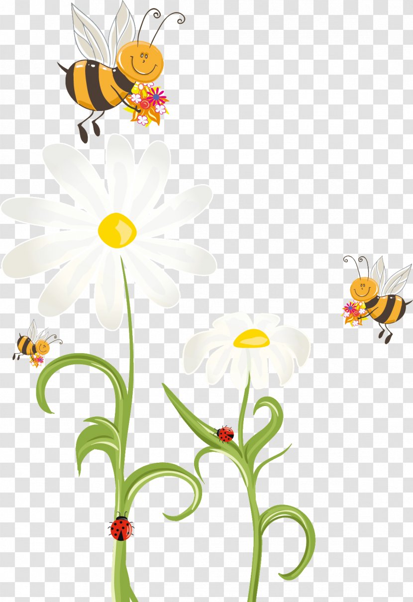 Vector Graphics Design Illustration Poster - Floristry - Pollinator Transparent PNG