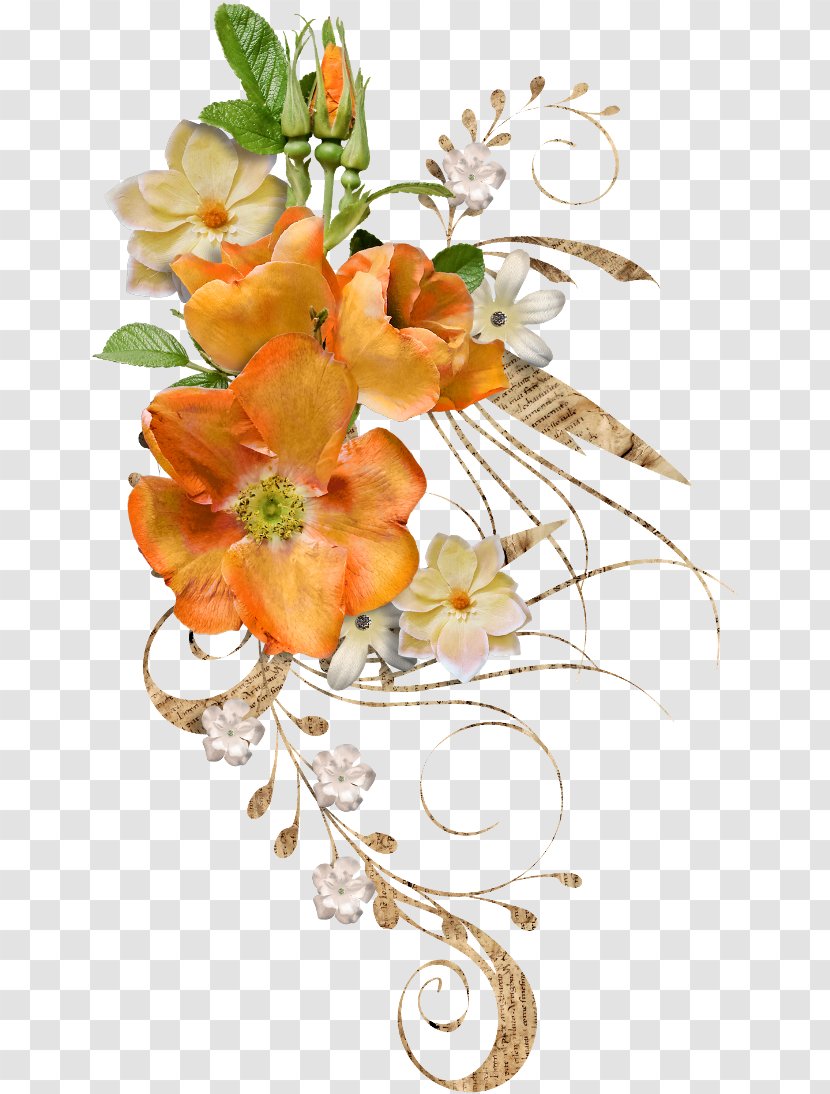 Floral Design Picture Frames - Petal - Resim Ara Transparent PNG
