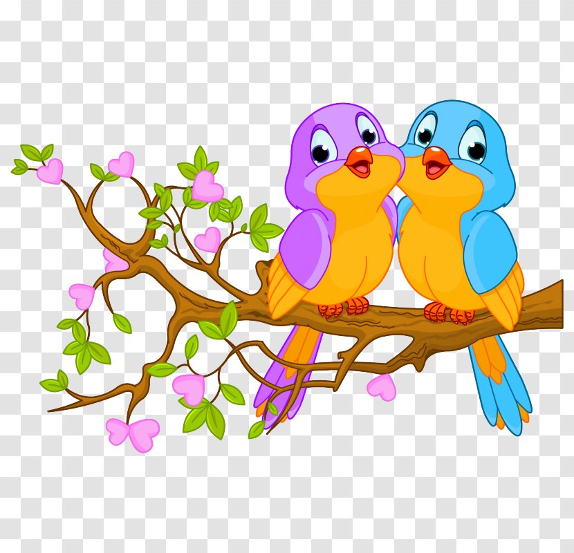 Lovebird Clip Art Vector Graphics Illustration - Branch - Bird Transparent PNG