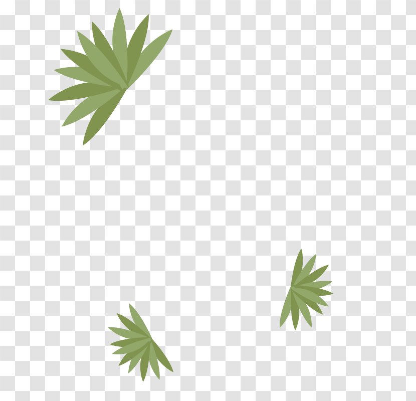 Leaf Hemp Plant Stem Line Tree Transparent PNG