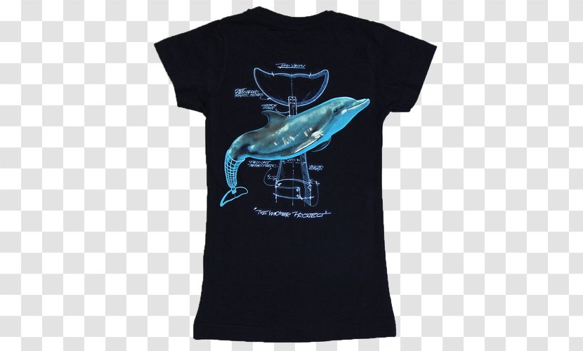 T-shirt Clearwater Marine Aquarium Sleeve Winter Clothing - Outerwear Transparent PNG