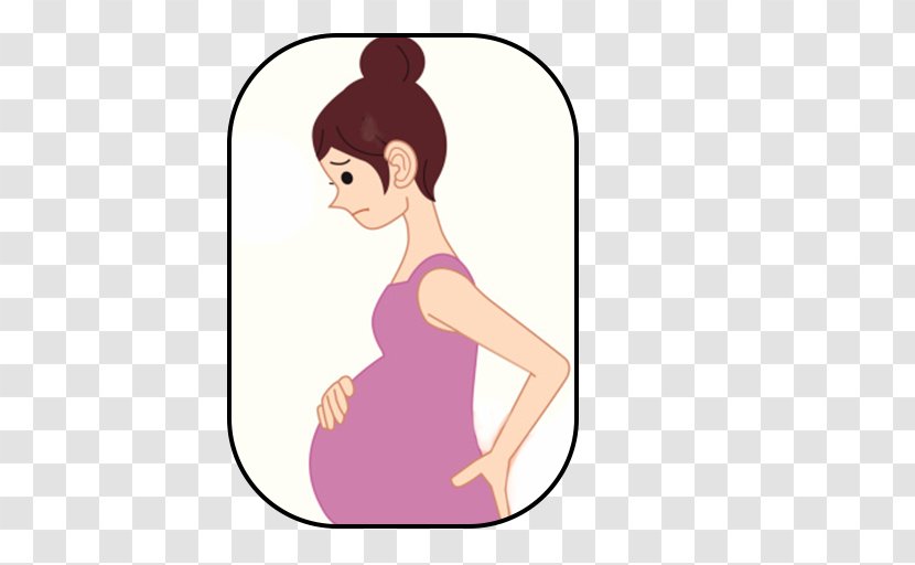 Pain In Spine Pregnancy Low Back Abdominal Symptom - Flower Transparent PNG