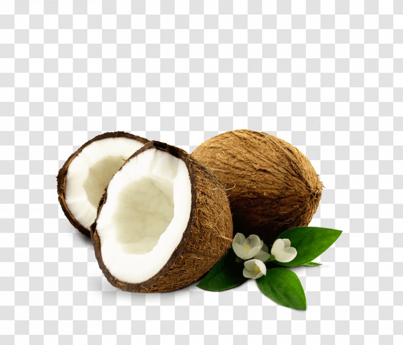 A To Z Exports And Imports(coconut Suppliers,wholesaler,seller,manufacturers In Pollachi) Coconut Oil Water EXPORTERS - Cooking Oils - Coco Fruta Transparent PNG