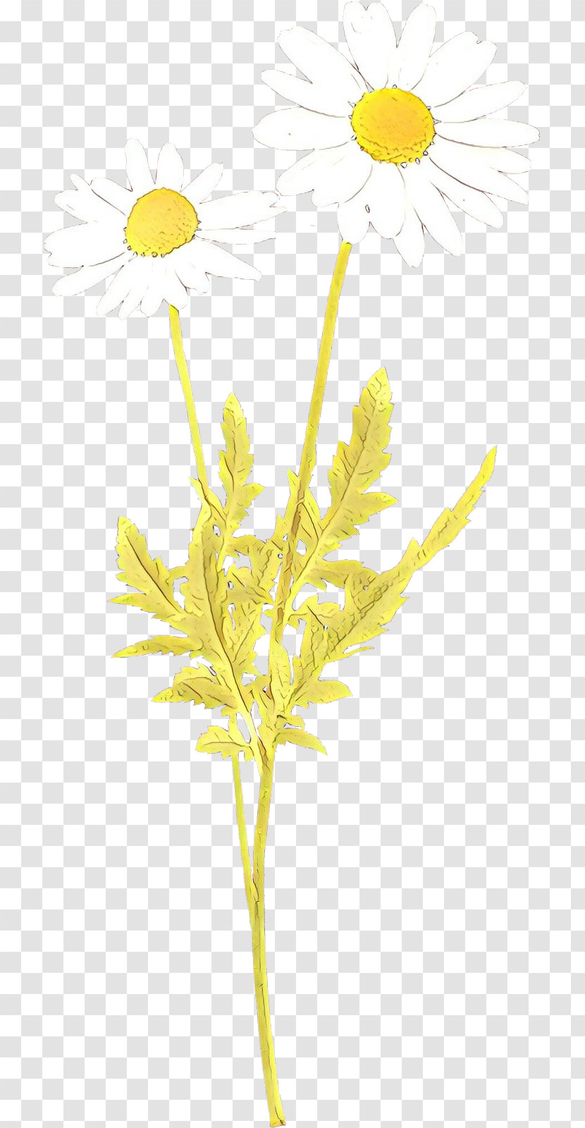 Yellow Plant Flower Leaf Pedicel Transparent PNG