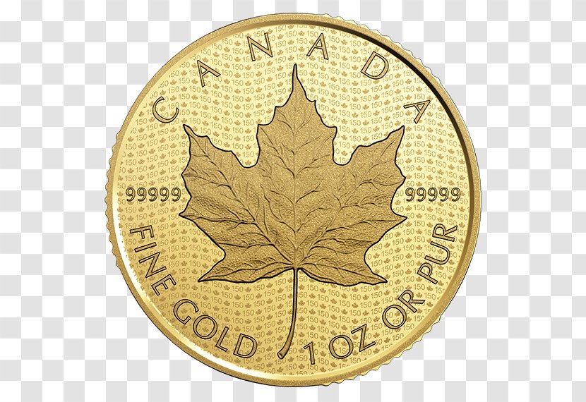 Bullion Coin Canadian Gold Maple Leaf Canada - Metal Transparent PNG
