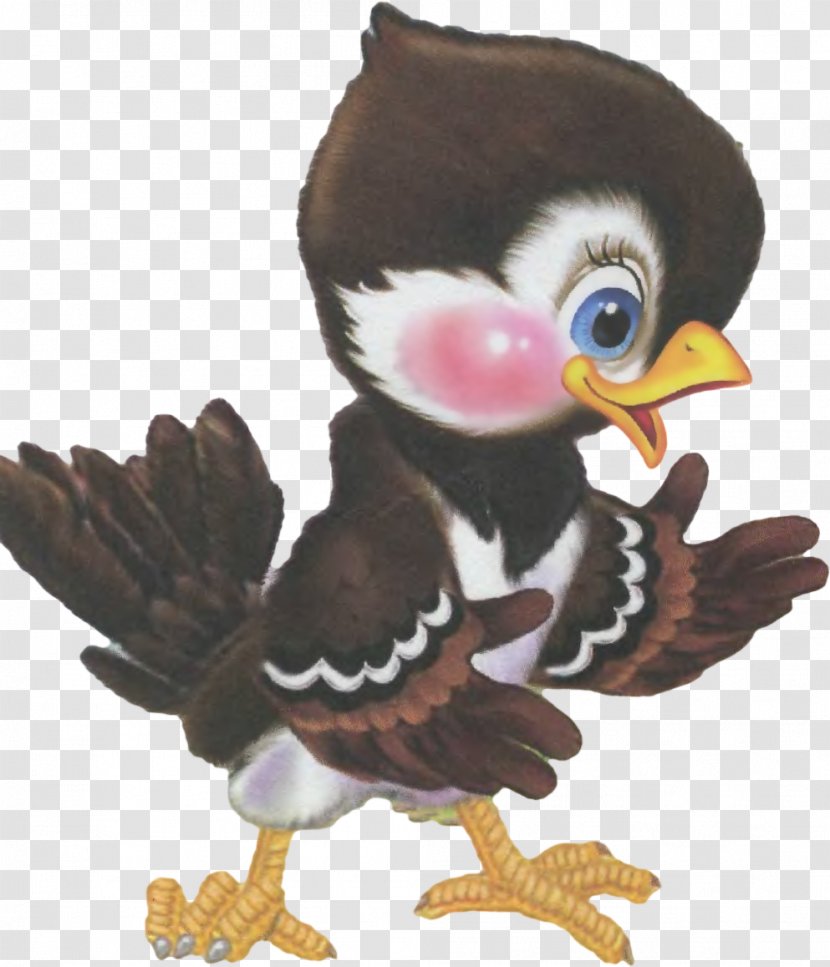 Beak Bird Of Prey - Cartoon Transparent PNG