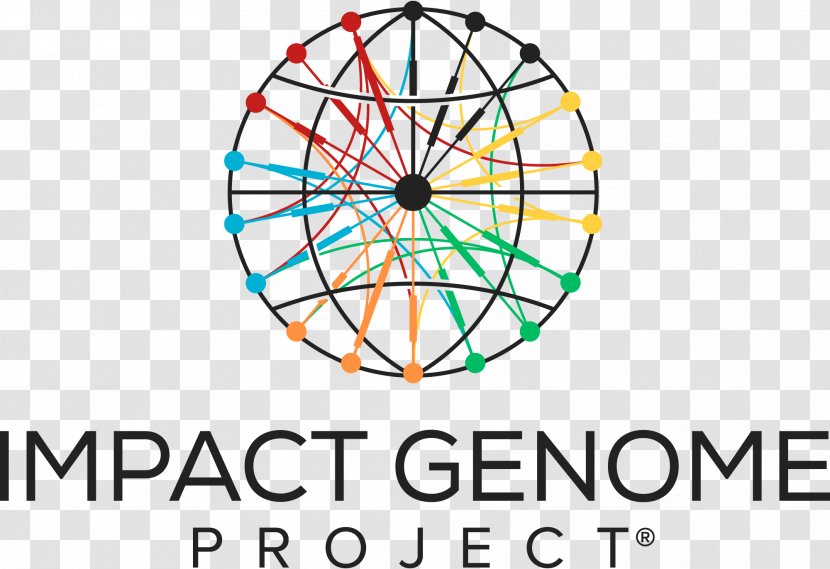 Human Genome Project Genomics Measurement - Symmetry - Annual Meeting Transparent PNG