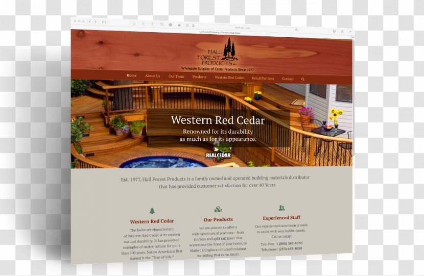 Western Redcedar Forest Products Forestry - Creative Technology Transparent PNG
