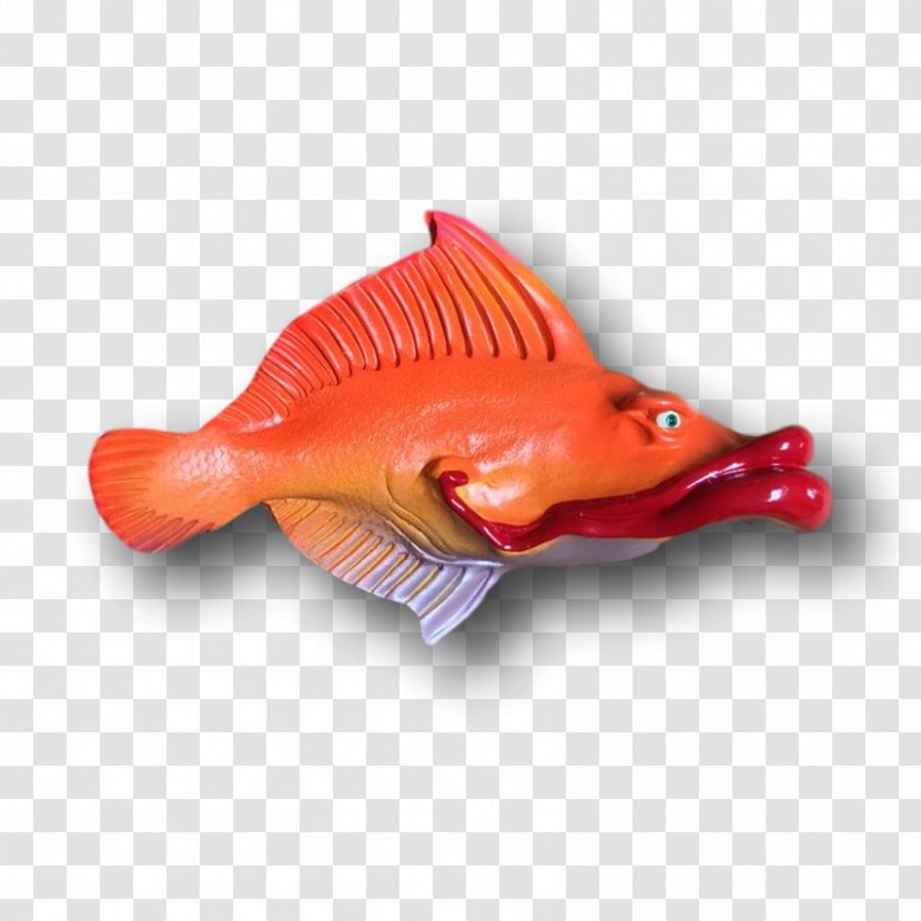 Northern Red Snapper - Fish Transparent PNG