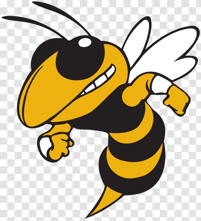 Georgia Institute Of Technology Tech Yellow Jackets Football Men's Basketball Buzz Yellowjacket - Wing - Bee Transparent PNG