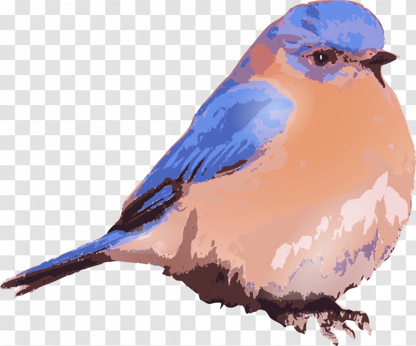 Eastern Bluebird Of Happiness Clip Art - Blue Bird Transparent PNG