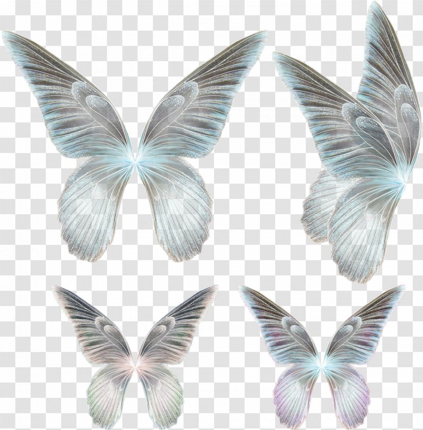 Butterfly Drawing Feather - Butterflies And Moths Transparent PNG