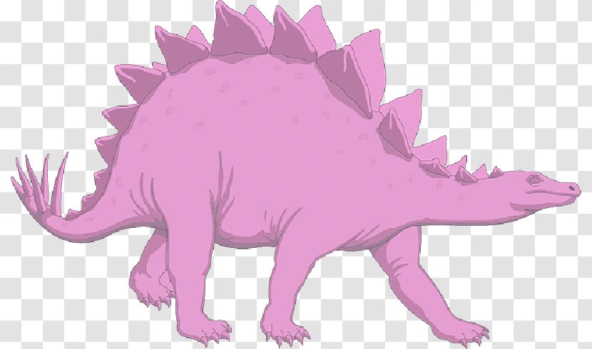 Stegosaurus Clip Art Dinosaur Tyrannosaurus - Magenta - Lavender Spikes Transparent PNG