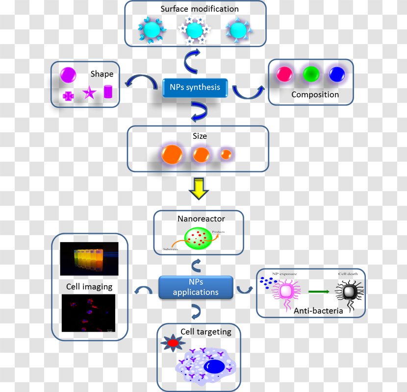 Applications Of Nanotechnology Nanoparticle Biology Biomedical Engineering - Chemistry - Drug Delivery Transparent PNG