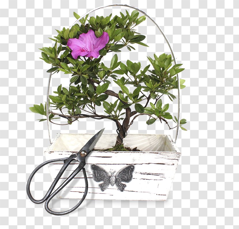 Cut Flowers Flowerpot Floral Design Houseplant - Flowering Plant Transparent PNG