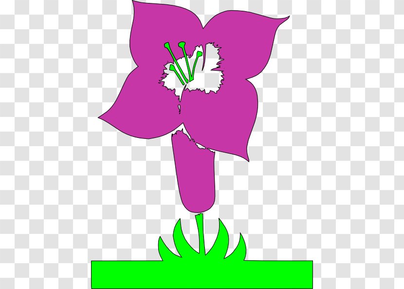 Flower Poster Drawing Clip Art - Photography - Animated Pictures Of Plants Transparent PNG