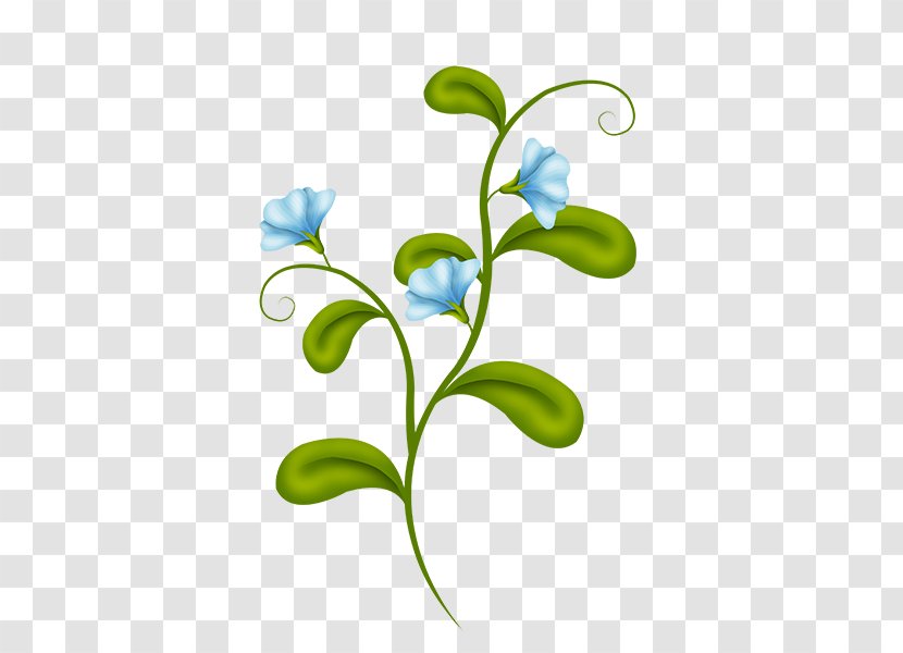 Leaf Branch - Plant Stem - Dayflower Pedicel Transparent PNG