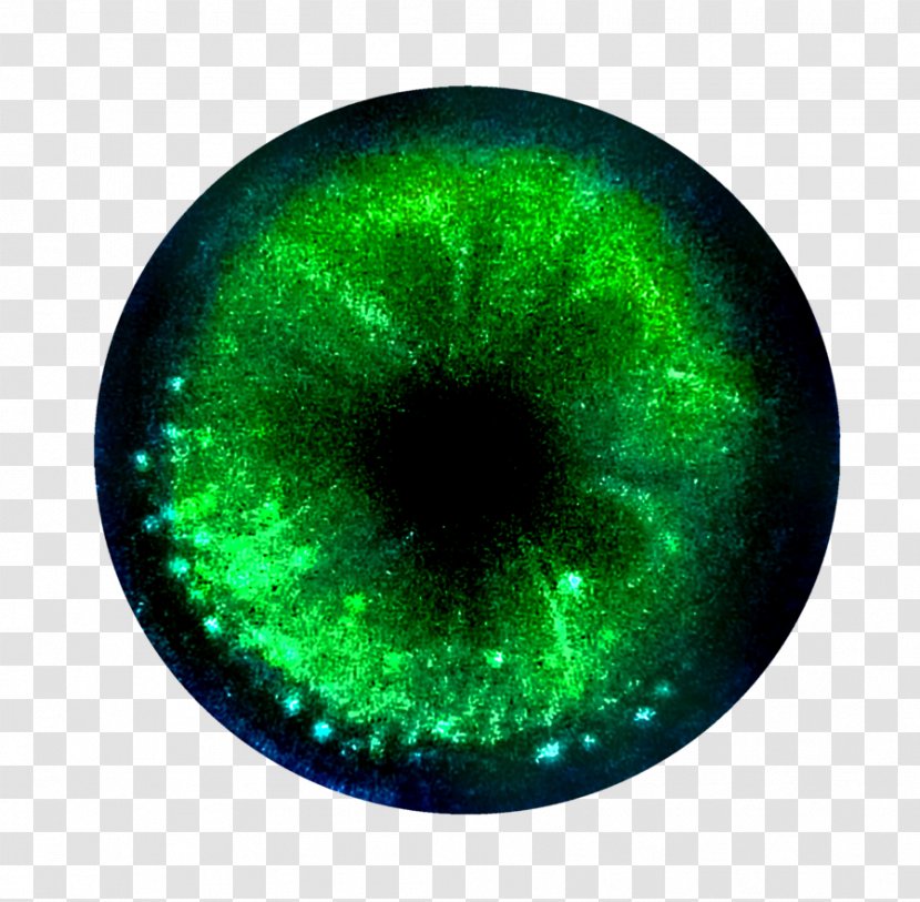 Eye Close-up - Green Transparent PNG
