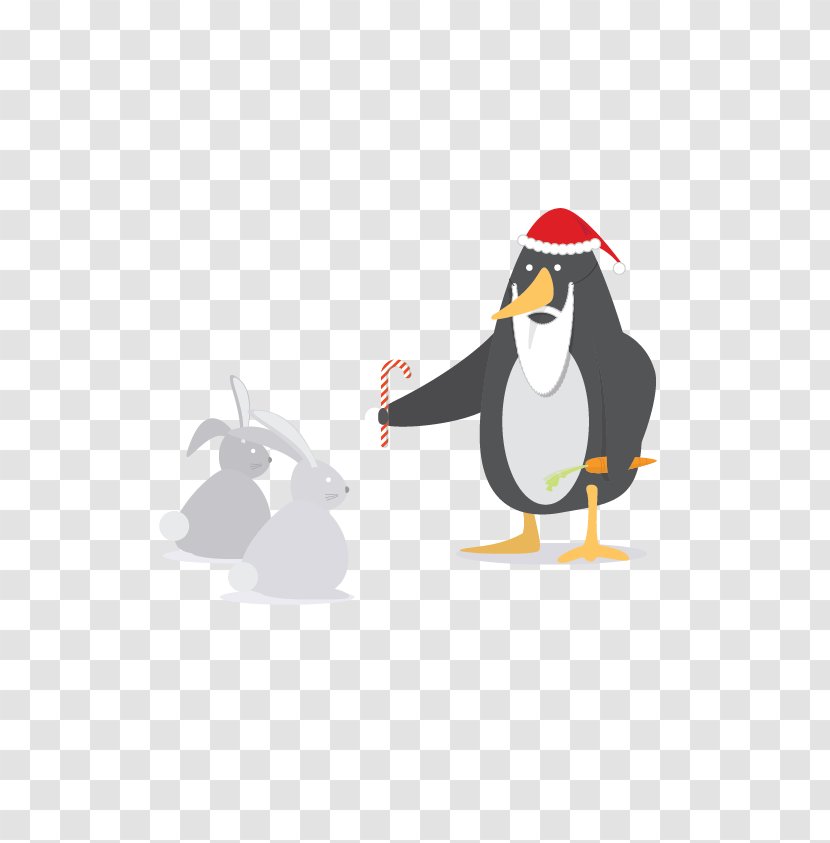 Penguin Cygnini Goose Duck Anatidae - Bird Transparent PNG